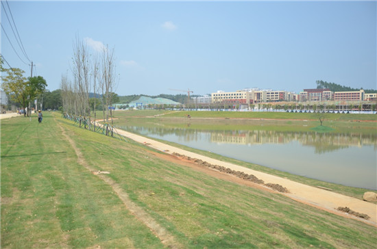 瓷都再增一顆璀璨“明珠”，景南風光更添風情