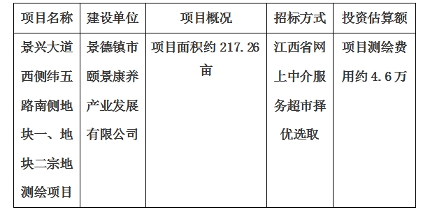 景興大道西側(cè)緯五路南側(cè)地塊一、地塊二宗地