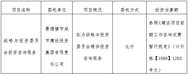 戰(zhàn)略與投資委員會投資咨詢服務計劃公告　