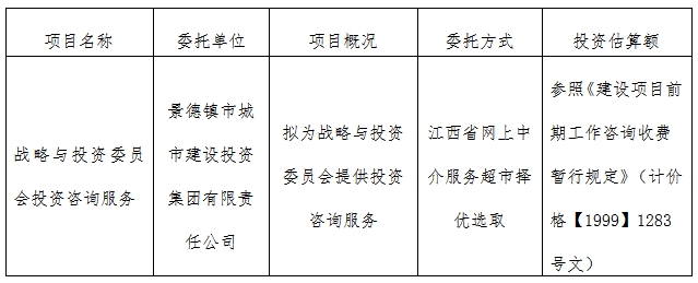 戰(zhàn)略與投資委員會投資咨詢服務計劃公告　　