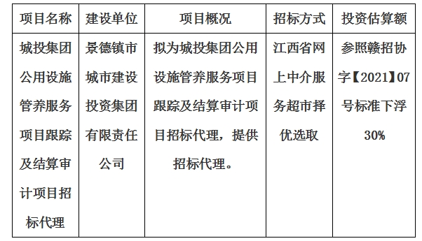 城投集團公用設施管養(yǎng)服務項目跟蹤及結(jié)算審計項目招標代理計劃公告